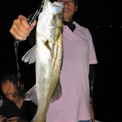 Marine T Design　マリンティーデザイン 釣果