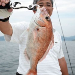 Marine T Design　マリンティーデザイン 釣果