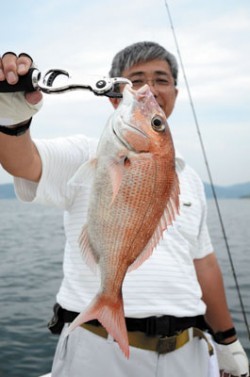 Marine T Design　マリンティーデザイン 釣果