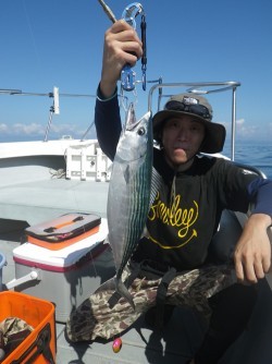 sea boss　シーボス 釣果