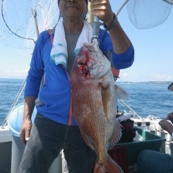 sea boss　シーボス 釣果