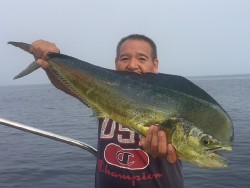 ゲームフィッシング バレントン 釣果