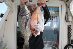 松本釣船２ 釣果