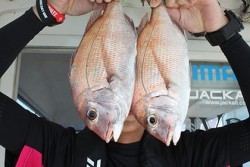 松本釣船２ 釣果