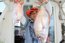 松本釣船２ 釣果