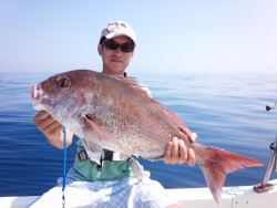 MATSUSHIMA SEANET 釣果