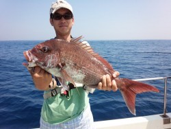 MATSUSHIMA SEANET 釣果