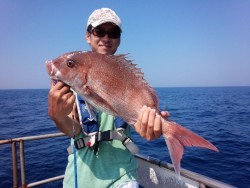 MATSUSHIMA SEANET 釣果