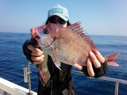 MATSUSHIMA SEANET 釣果