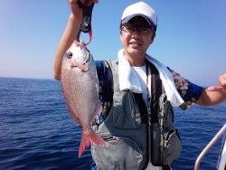 MATSUSHIMA SEANET 釣果