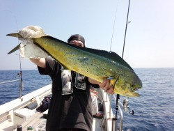 MATSUSHIMA SEANET 釣果