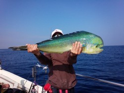 MATSUSHIMA SEANET 釣果