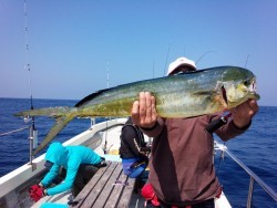 MATSUSHIMA SEANET 釣果
