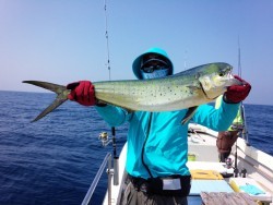 MATSUSHIMA SEANET 釣果