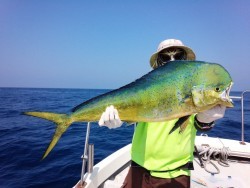 MATSUSHIMA SEANET 釣果