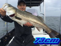 オーシャンマスター 釣果