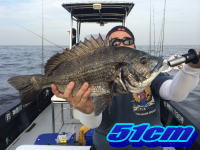 オーシャンマスター 釣果