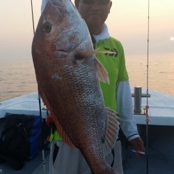 タイラバ船の海豚　ここのところ