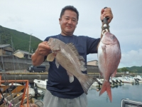 エヌテックマリン 釣果