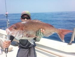 MATSUSHIMA SEANET 釣果