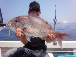 MATSUSHIMA SEANET 釣果