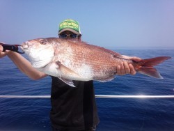 MATSUSHIMA SEANET 釣果