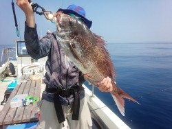 MATSUSHIMA SEANET 釣果