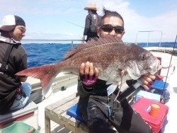 MATSUSHIMA SEANET 釣果