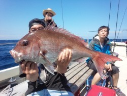 MATSUSHIMA SEANET 釣果