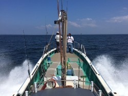 ゲームフィッシング バレントン 釣果