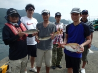 エヌテックマリン 釣果