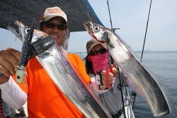 松本釣船２ 釣果