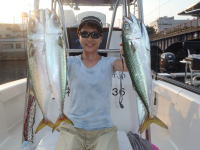 オーシャンマスター 釣果