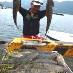 エヌテックマリン 釣果