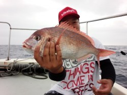 MATSUSHIMA SEANET 釣果