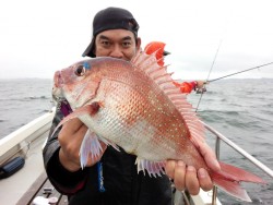 MATSUSHIMA SEANET 釣果