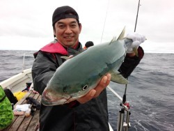 MATSUSHIMA SEANET 釣果