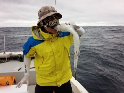 MATSUSHIMA SEANET 釣果