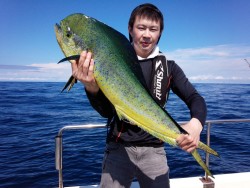 MATSUSHIMA SEANET 釣果