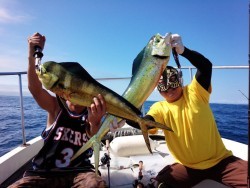 MATSUSHIMA SEANET 釣果