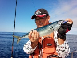 MATSUSHIMA SEANET 釣果