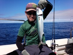 MATSUSHIMA SEANET 釣果