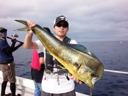 MATSUSHIMA SEANET 釣果