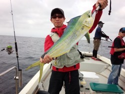 MATSUSHIMA SEANET 釣果