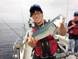 MATSUSHIMA SEANET 釣果