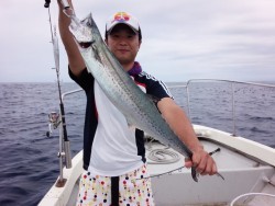 MATSUSHIMA SEANET 釣果