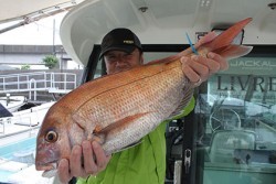 松本釣船２ 釣果