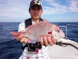 MATSUSHIMA SEANET 釣果