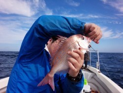 MATSUSHIMA SEANET 釣果