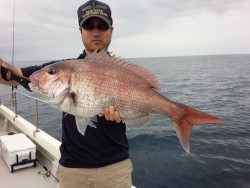 MATSUSHIMA SEANET 釣果